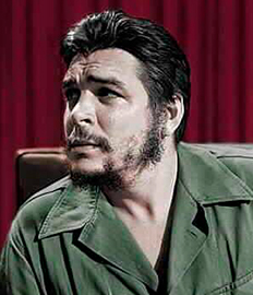  Ernesto Guevara de la Serna