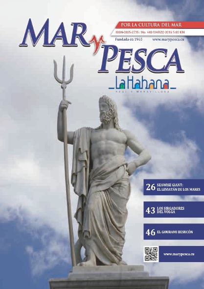 Revista Mar y Pesca Edición 440. (Ebook)