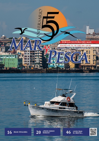 Revista Mar y Pesca Edición 449. (Ebook)