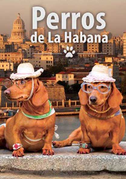 Perros de La Habana. (Multimedia)